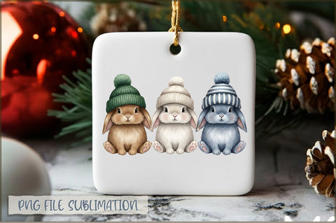 Christmas Ornaments PNG Bundle Sublimation Shetara Begum 