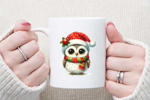 Christmas Owl Sublimation Clipart Sublimation designartist 