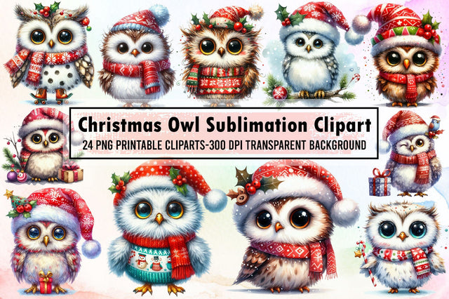 Christmas Owl Sublimation Clipart Sublimation designartist 