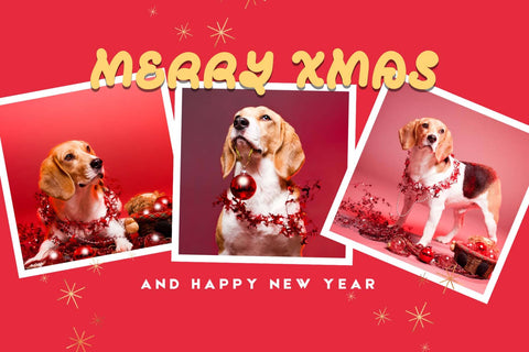 Christmas Pipow Font Prasetya Letter 