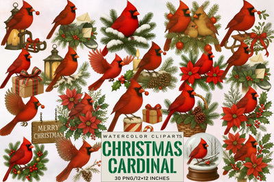 Christmas Red Cardinal Clipart Bundle Sublimation SVGArt 