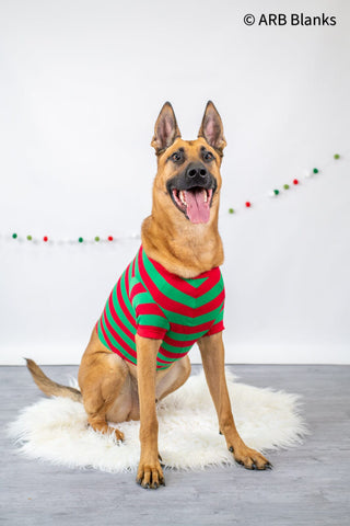 CHRISTMAS: Red & Green Striped Collection Physical ARB Blanks Dog XS 