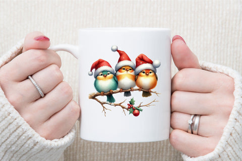 Christmas Robin Birds Clipart Bundle Sublimation designartist 