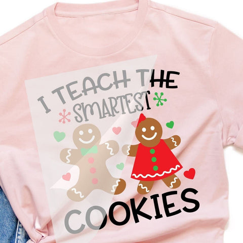 Christmas Teacher DTF Transfer Physical So Fontsy T-Shirt Iron-On Transfer Shop