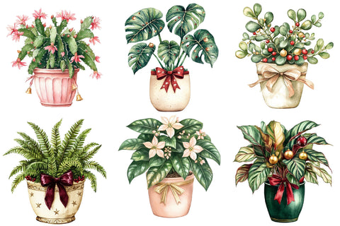Christmas Watercolor Plants PNG Bundle Sublimation SVGArt 