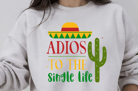 Cinco de Mayo SVG Bundle SVG Regulrcrative 