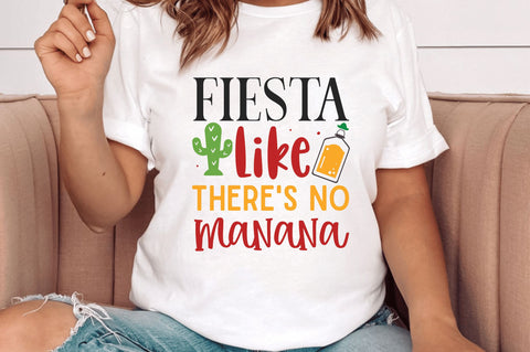 Cinco de Mayo SVG Bundle SVG Regulrcrative 