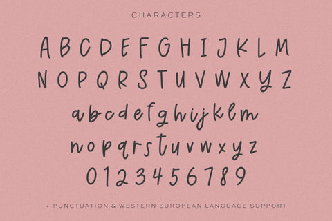 Cinnamon Season Script Font Beck McCormick 