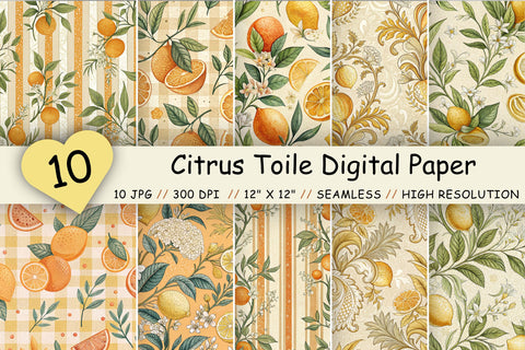 Citrus Toile Digital Paper Pack, Vintage Floral Toile, Gingham & Stripe Seamless Patterns, Wedding, Scrapbooking & Printable Crafts Digital Pattern FloridPrintables 