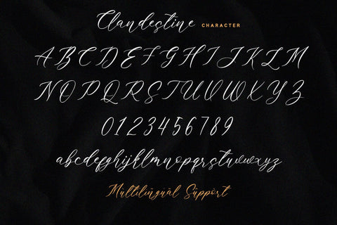 Clandestine - Handwritten Font Font Alpaprana Studio 