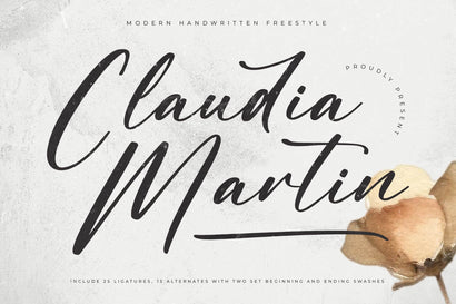 Claudia Martin - Modern Handwritten Freestyle Font Letterena Studios 