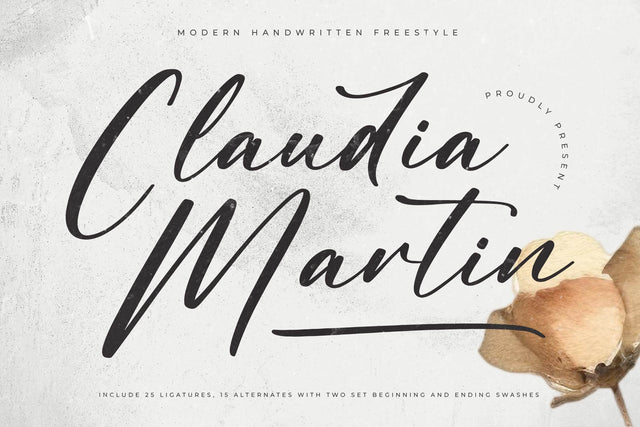 Claudia Martin - Modern Handwritten Freestyle Font Letterena Studios 