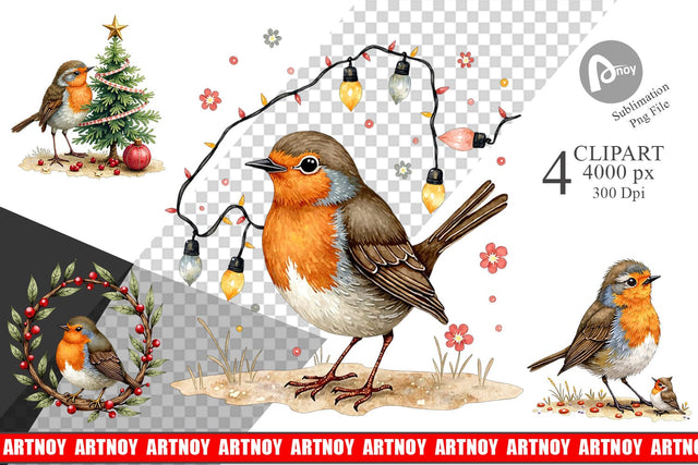 Clipart Christmas Robin Wonders Sublimation artnoy 