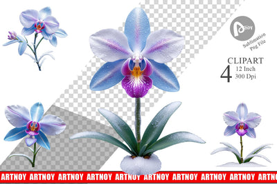 Clipart Frosted Orchid Sublimation artnoy 