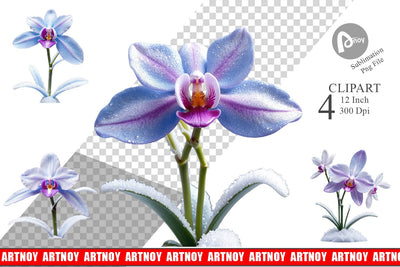 Clipart Frosted Orchid Sublimation artnoy 