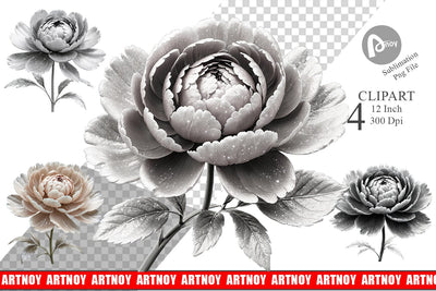 Clipart Peony Sketch Sublimation artnoy 