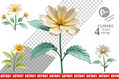 Clipart Vintage Botanical Sublimation artnoy 
