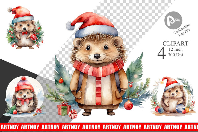 Clipart Watercolor Christmas Hedgehog Sublimation artnoy 