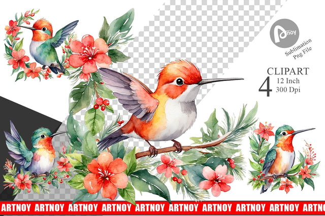 Clipart Watercolor Christmas Hummingbird Sublimation artnoy 