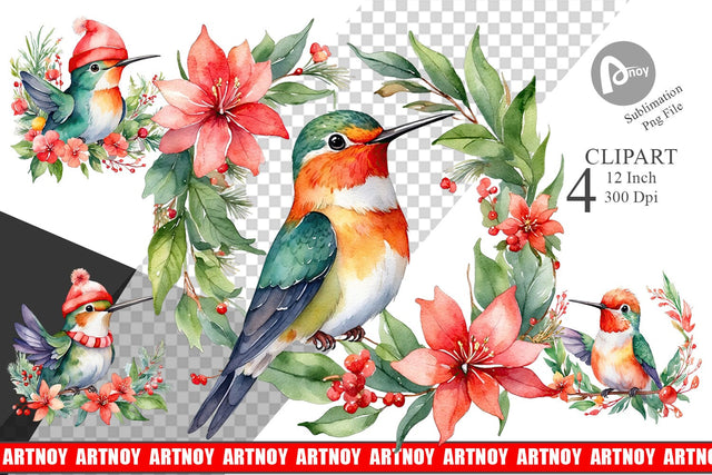 Clipart Watercolor Christmas Hummingbird Sublimation artnoy 