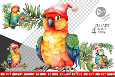 Clipart Watercolor Christmas Parrot Sublimation artnoy 