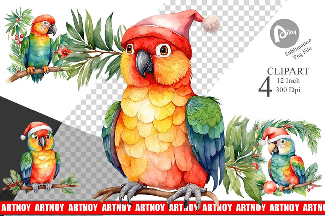 Clipart Watercolor Christmas Parrot Sublimation artnoy 