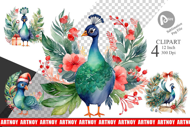 Clipart Watercolor Christmas Peacock Sublimation artnoy 