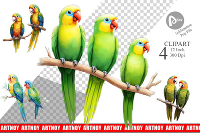 Clipart Watercolor Parrot Sublimation artnoy 