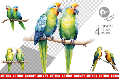 Clipart Watercolor Parrot Sublimation artnoy 
