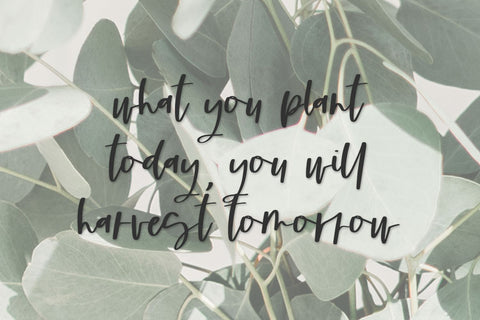 Cloverdale Script Font Beck McCormick 