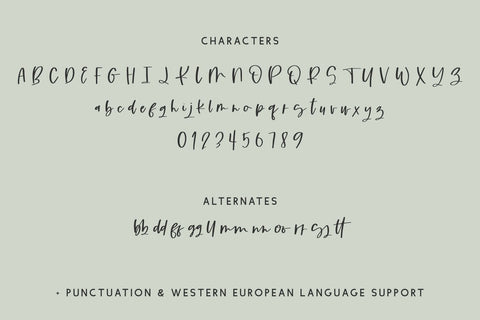 Cloverdale Script Font Beck McCormick 