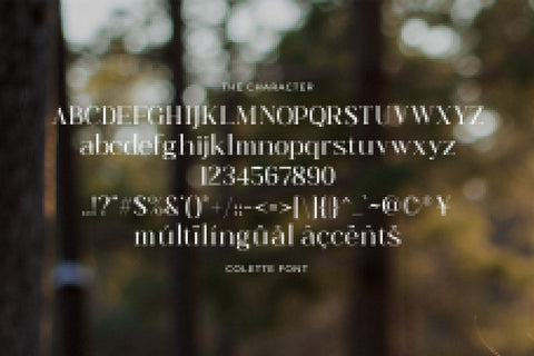 Colette Font studioalmeera 