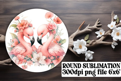 Colorful Bird Circle Designs Sublimation afrosvg 