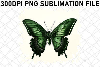Colorful Butterfly PNG Assortment Sublimation afrosvg 