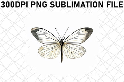 Colorful Butterfly Sublimation Graphics Sublimation afrosvg 