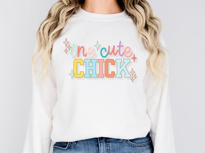 Colorful One Cute Chick Easter SVG PNG EPS DXF SVG So Fontsy VIP Design Shop 