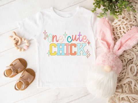 Colorful One Cute Chick Easter SVG PNG EPS DXF SVG So Fontsy VIP Design Shop 