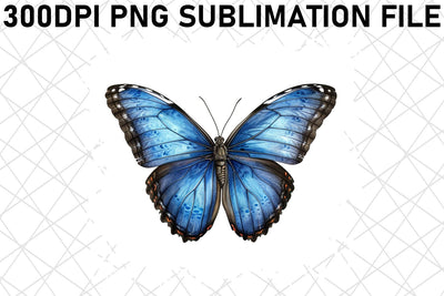Colorful Watercolor Butterfly Pack Sublimation afrosvg 