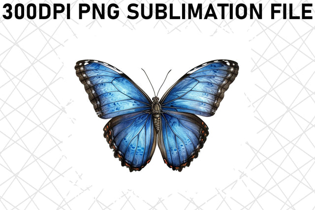 Colorful Watercolor Butterfly Pack Sublimation afrosvg 