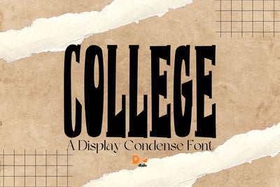 Condense College Font Dm Letter Studio 
