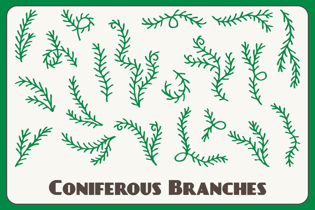 Coniferous Branches PNG Clipart Sublimation Rin Green 