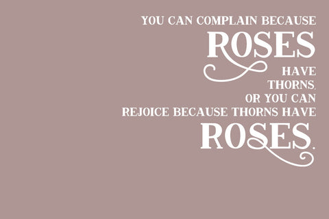 Conquistador Serif Font Font Beck McCormick 
