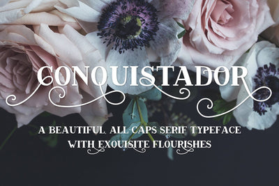 Conquistador Serif Font Font Beck McCormick 