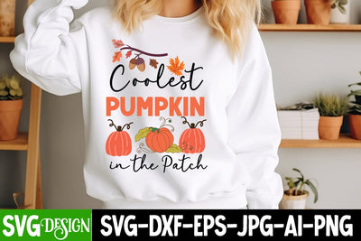 Coolest Pumpkin in the Patch SVG Design,Fall Svg Design,Thanksgiving Svg Design,Autumn Svg Design,Fall Round Sign Svg ,Fall Shirt Design,Fall Sublimation Design SVG BlackCatsMedia 