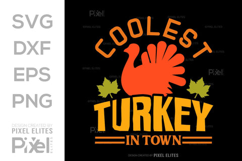 Coolest Turkey In Town SVG Funny Turkey Gobble Vector Design Bundle Thanksgiving Quote PET 00916 SVG ETC Craft 