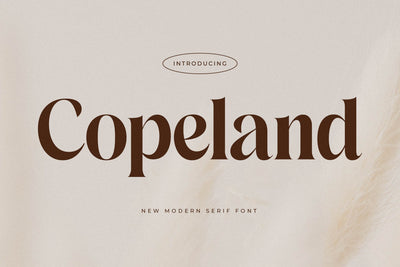 Copeland New Modern Serif Font Font Storytype Studio 