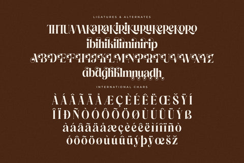 Copeland New Modern Serif Font Font Storytype Studio 