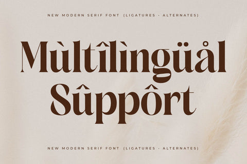 Copeland New Modern Serif Font Font Storytype Studio 