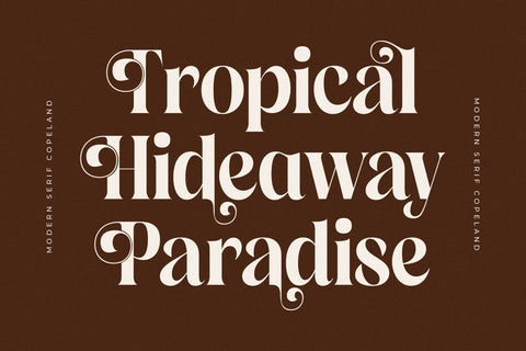 Copeland New Modern Serif Font Font Storytype Studio 