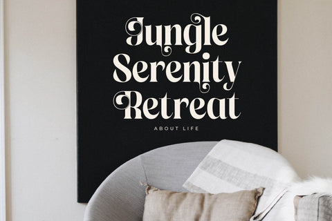 Copeland New Modern Serif Font Font Storytype Studio 